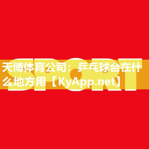 乒乓球台在什么地方用